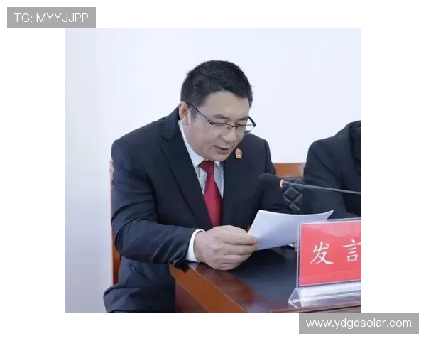 深圳青年重整行装再出发迎新程